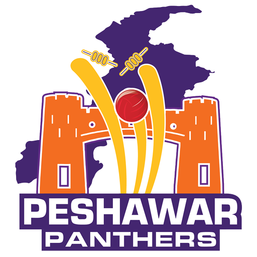Official logo of Team Peshawar Panthers, representing Peshawar in PTPL 2025 Season 1.